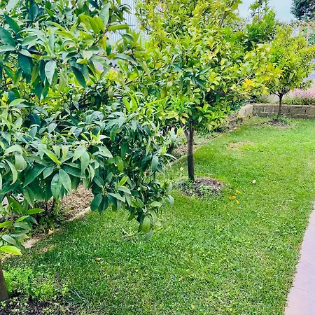 Appartamento Cozy Hamallaj